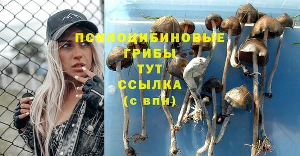 кокаин колумбия Арсеньев