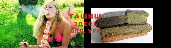ALPHA PVP Богородицк